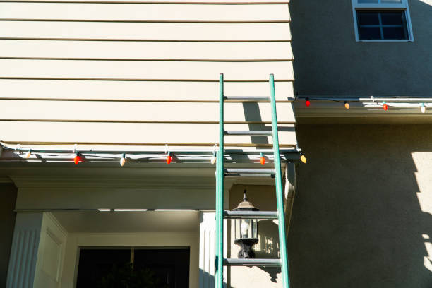 Best Residential Vinyl Siding Installation  in Mondovi, WI