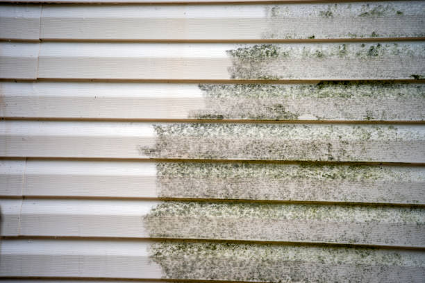 Storm Damage Siding Repair in Mondovi, WI