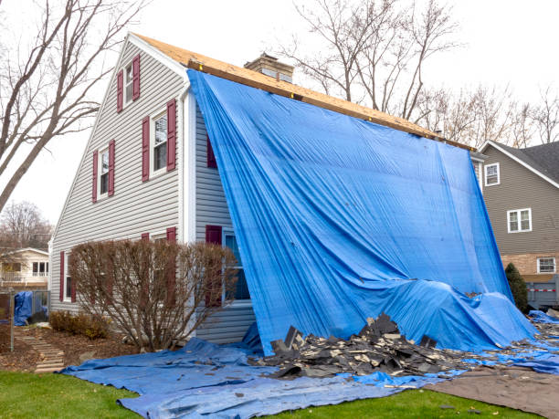 Best Aluminum Siding Installation  in Mondovi, WI