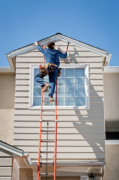 Best Brick Veneer Siding  in Mondovi, WI
